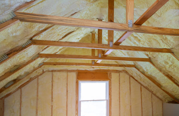 Best Insulation Installation Services in Cavalier, ND